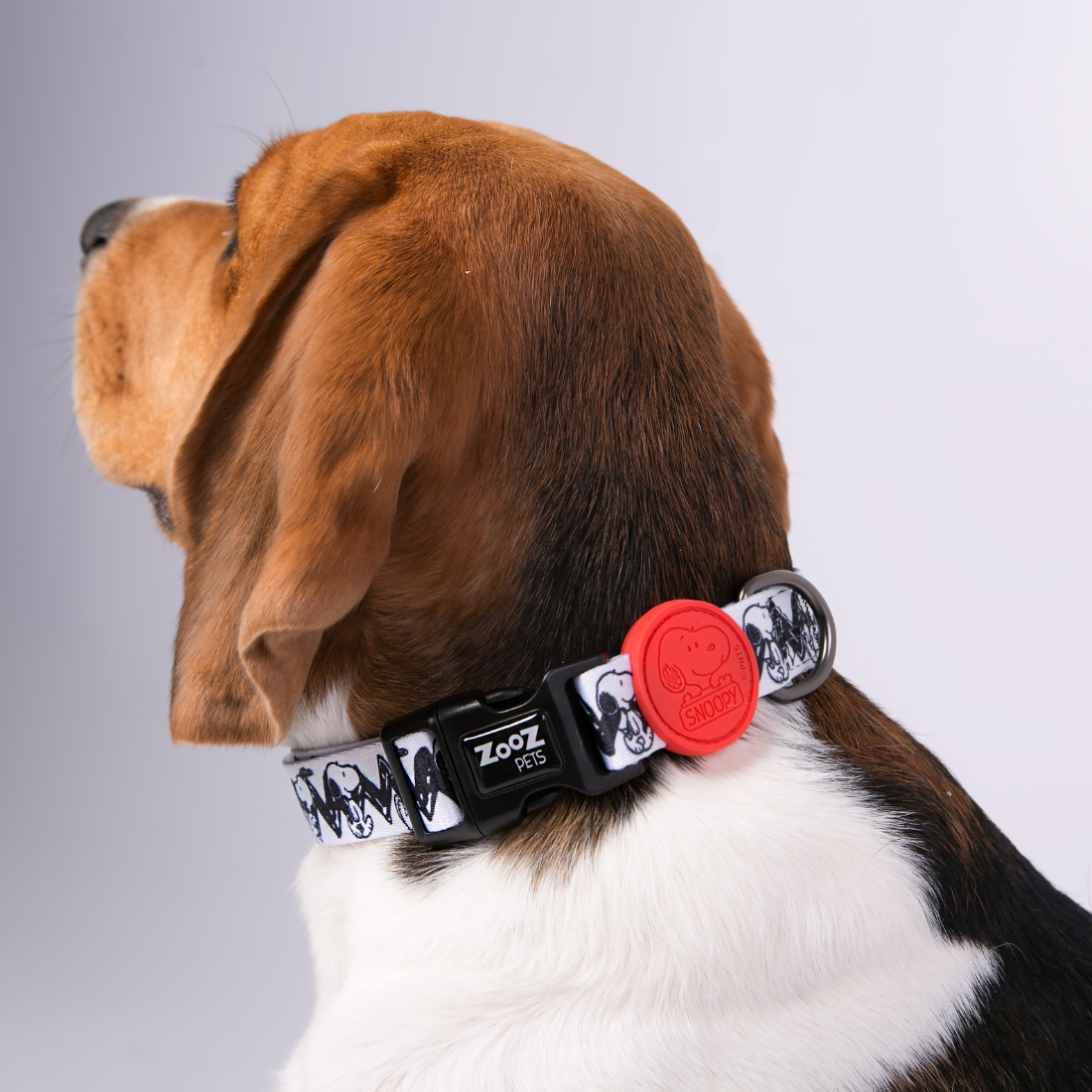 Coleira Zooz, de padrão bege e preto, com detalhes vermelhos e com figuras do snoopy.
Exibido num animal de porte pequeno, sobre fundo branco.