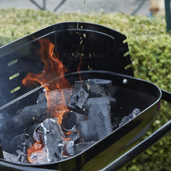 Barbecue a Carvão Loewy 55 Preto – BARBECOOK