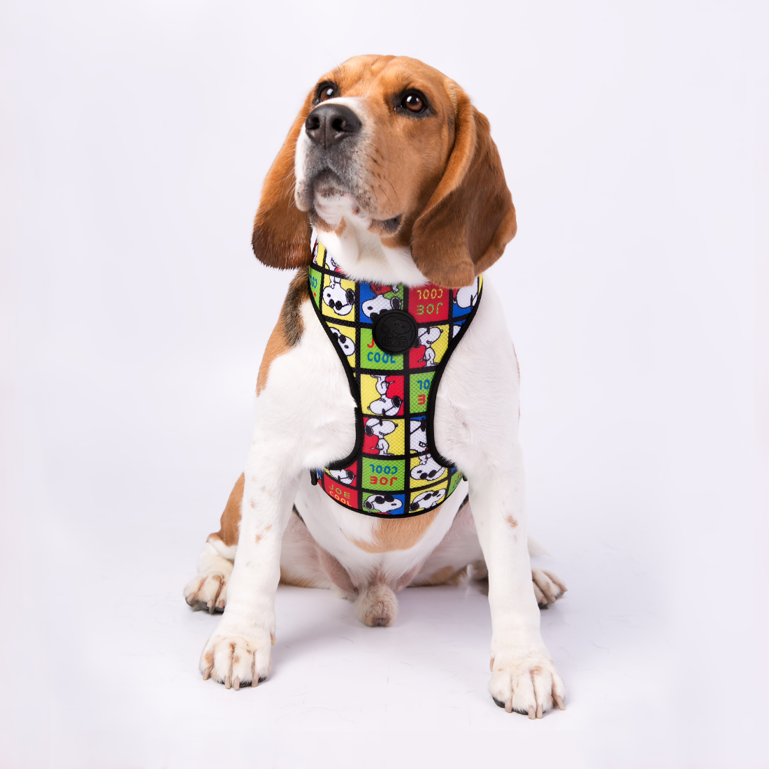 Arnês peitoral Zooz, colorido com figuras do snoopy e elementos como a frase "joe cool". Exibido num cão de porte pequeno-médio, sobre fundo branco.