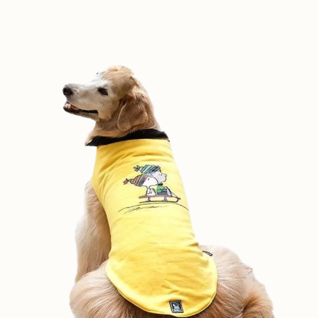 Colete Zooz para cão na cor amarela, com detalhes em preto, com estampa do  personagem a deslizar na neve com um gorro e cachecol, acompanhado do Woodstock. Vista das costas de um cão, sobre fundo branco.
