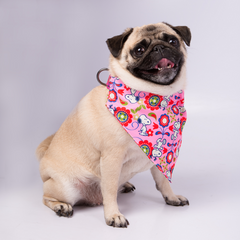 Bandana Zooz, cor de rosa, floral, do Snoopy.  Exibida num cão de porte pequeno, sobre fundo branco. 